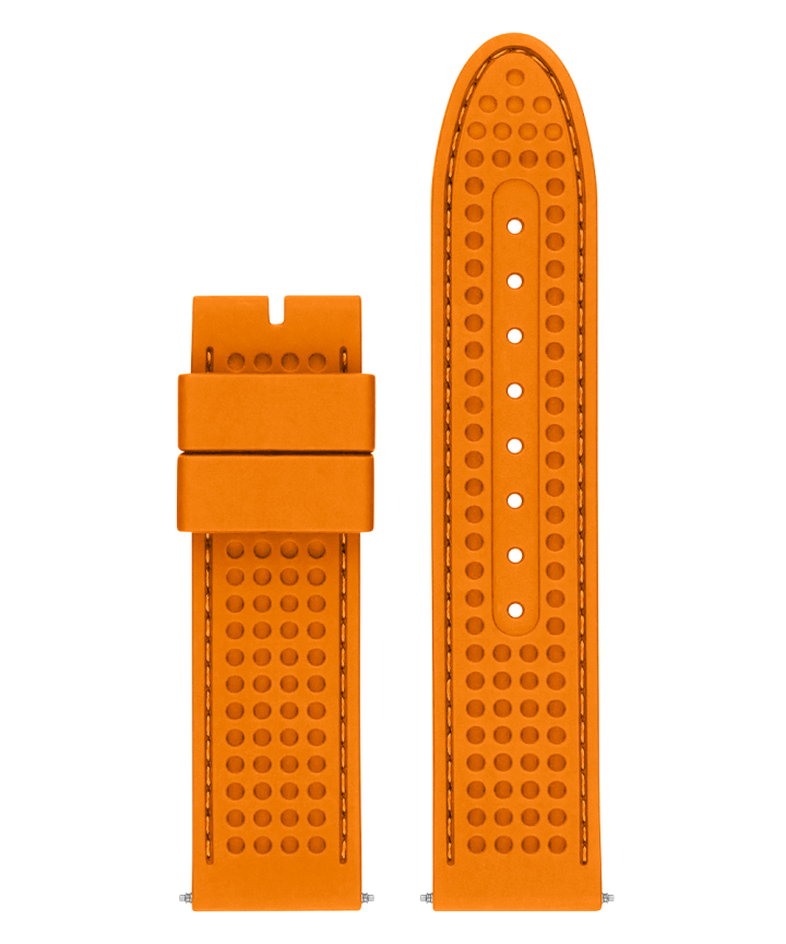 22 mm Accessory Strap large