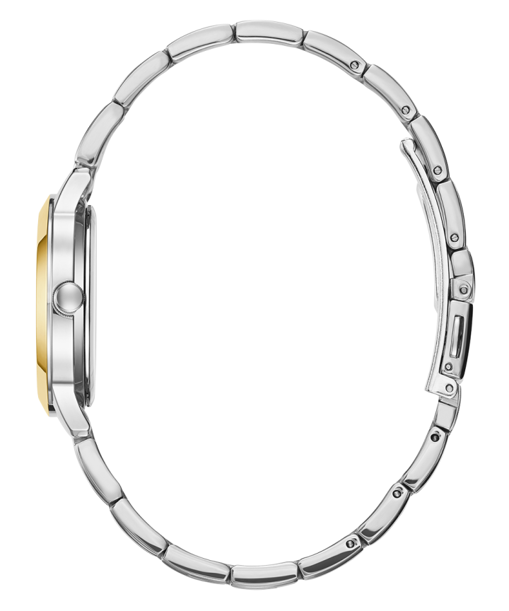 2-Tone Case 2-Tone Stainless Steel Watch large
