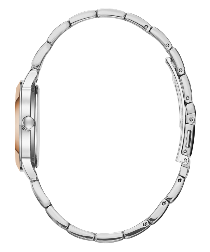 2-Tone Case 2-Tone Stainless Steel Watch large