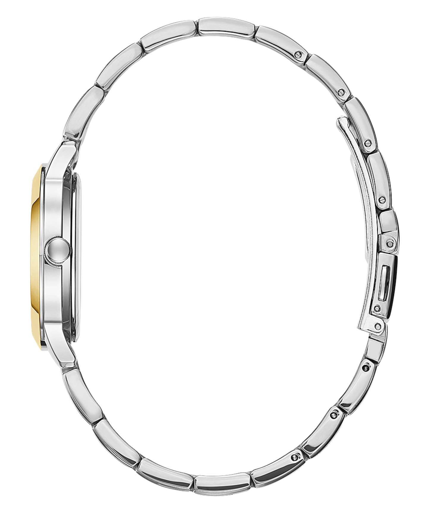 2-Tone Case 2-Tone Stainless Steel Watch large