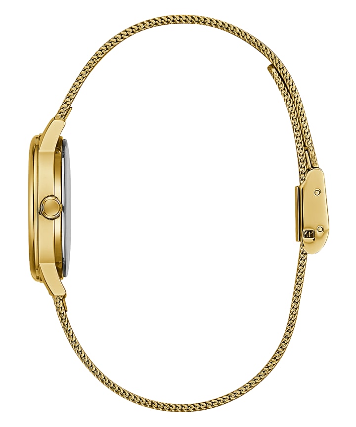 Gold Tone Case Gold Tone Stainless Steel/Mesh Watch large