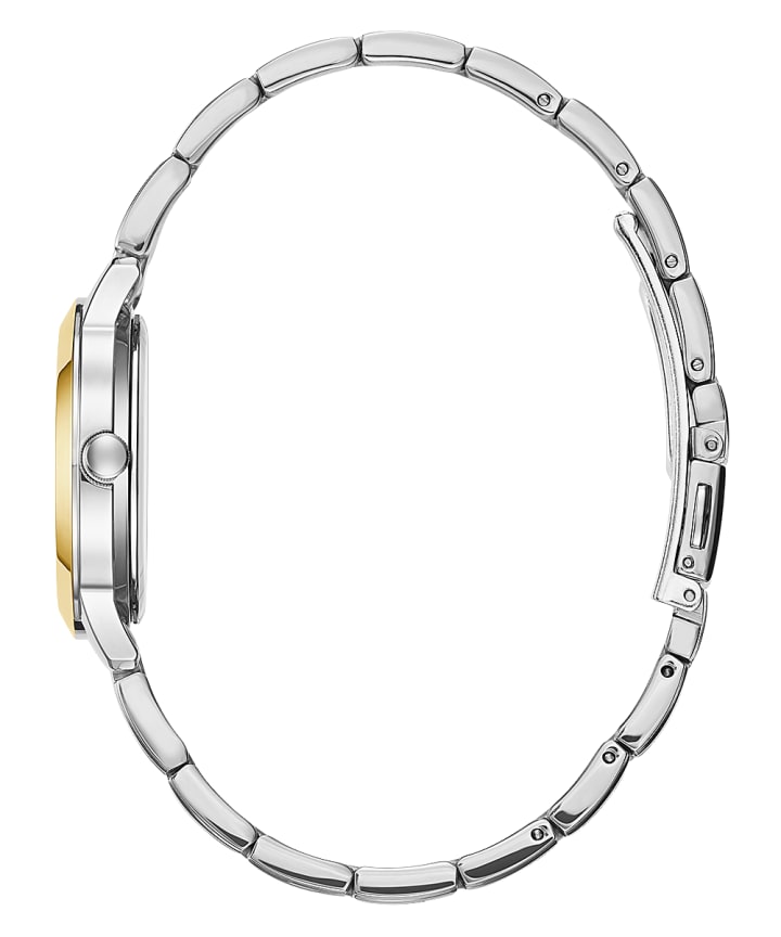 2-Tone Case 2-Tone Stainless Steel Watch large
