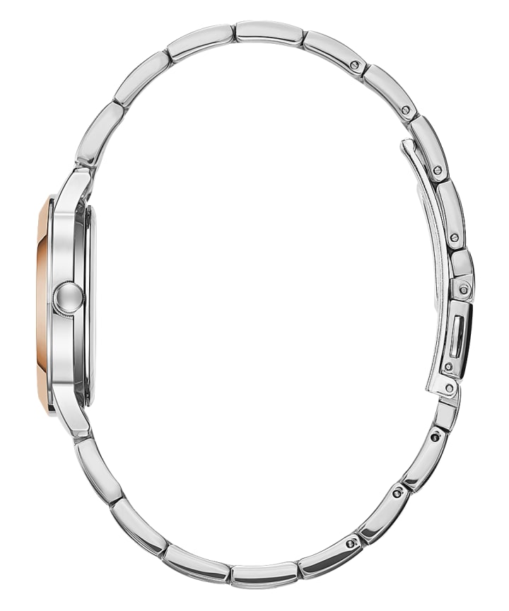 2-Tone Case 2-Tone Stainless Steel Watch large