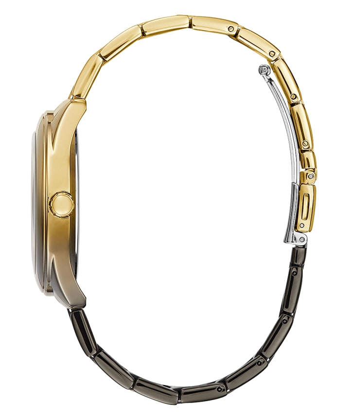 2-Tone Case 2-Tone Stainless Steel Watch large